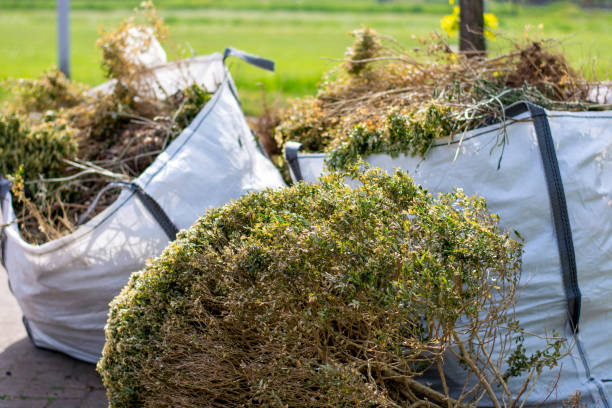 Yard Cleanup Services in Black Jack, MO